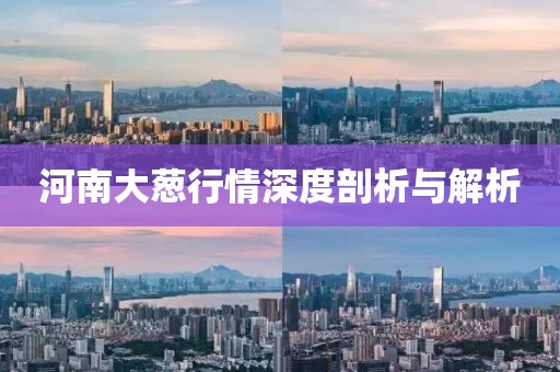 河南大葱行情深度剖析与解析