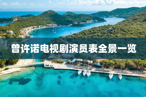 曾许诺电视剧演员表全景一览
