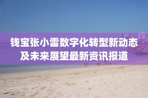 钱宝张小雷数字化转型新动态及未来展望最新资讯报道