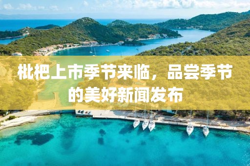 枇杷上市季节来临，品尝季节的美好新闻发布