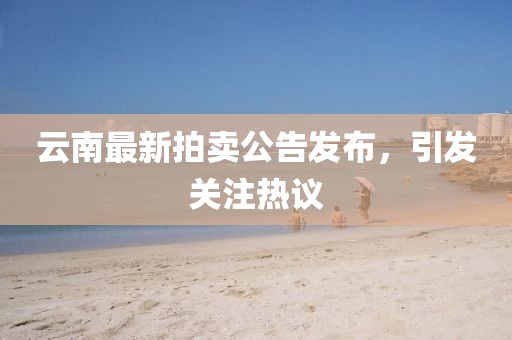 云南最新拍卖公告发布，引发关注热议