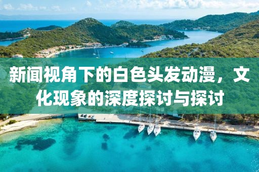 新闻视角下的白色头发动漫，文化现象的深度探讨与探讨