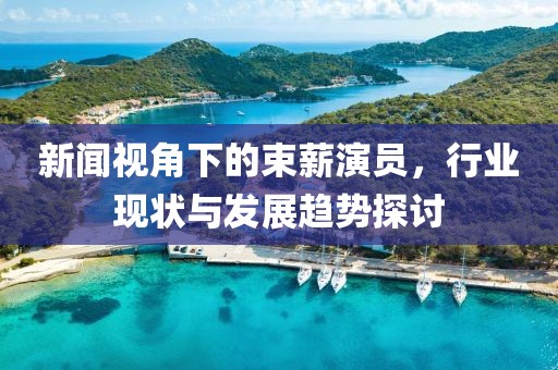 新闻视角下的束薪演员，行业现状与发展趋势探讨