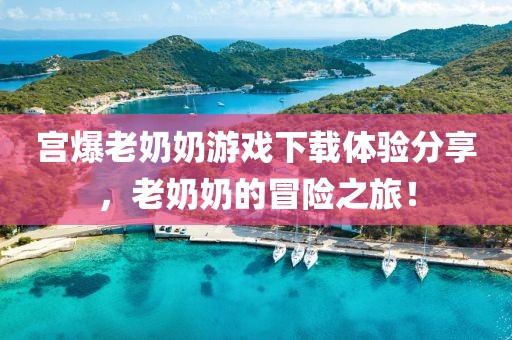 宫爆老奶奶游戏下载体验分享，老奶奶的冒险之旅！