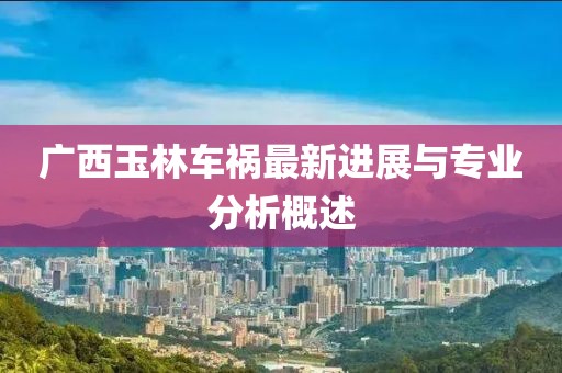 广西玉林车祸最新进展与专业分析概述