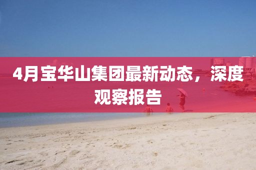 4月宝华山集团最新动态，深度观察报告