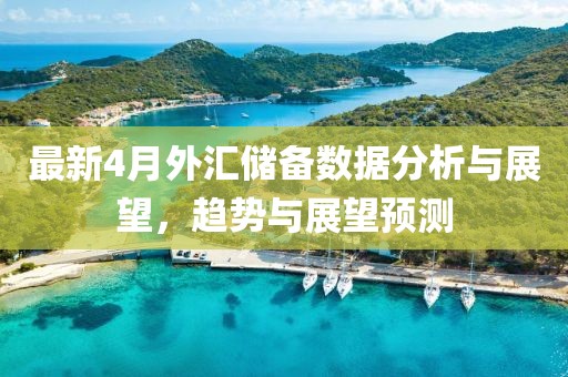 最新4月外汇储备数据分析与展望，趋势与展望预测