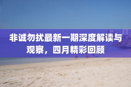 非诚勿扰最新一期深度解读与观察，四月精彩回顾