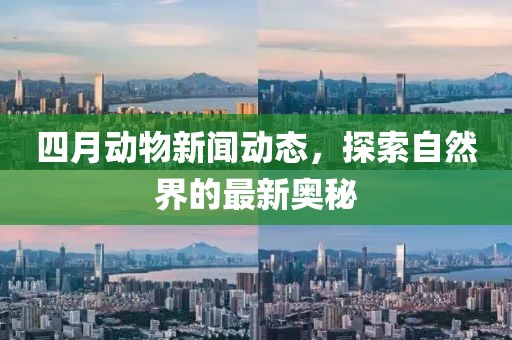 四月动物新闻动态，探索自然界的最新奥秘