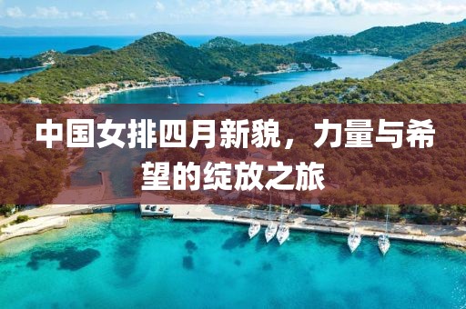 中国女排四月新貌，力量与希望的绽放之旅
