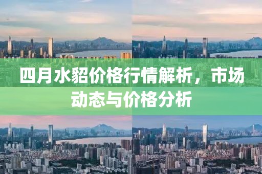 四月水貂价格行情解析，市场动态与价格分析
