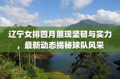 辽宁女排四月展现坚韧与实力，最新动态揭秘球队风采