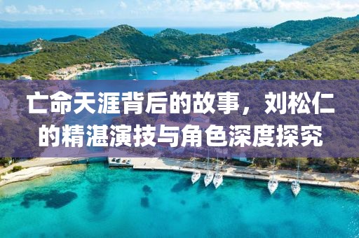 亡命天涯背后的故事，刘松仁的精湛演技与角色深度探究