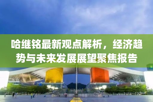 哈继铭最新观点解析，经济趋势与未来发展展望聚焦报告