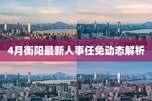 4月衡阳最新人事任免动态解析