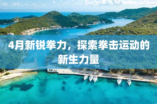 4月新锐拳力，探索拳击运动的新生力量