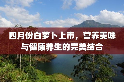 四月份白萝卜上市，营养美味与健康养生的完美结合
