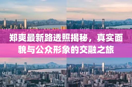 郑爽最新路透照揭秘，真实面貌与公众形象的交融之旅