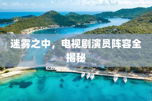 迷雾之中，电视剧演员阵容全揭秘