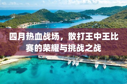 四月热血战场，散打王中王比赛的荣耀与挑战之战