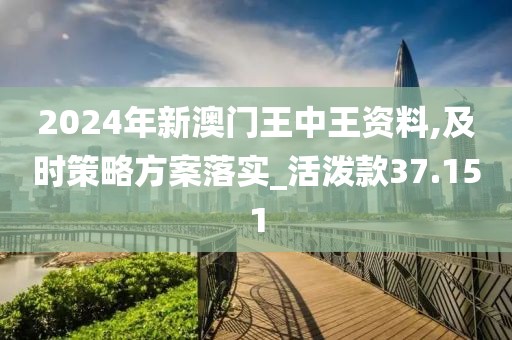 2024年新澳门王中王资料,及时策略方案落实_活泼款37.151