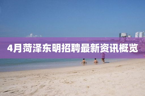 4月菏泽东明招聘最新资讯概览