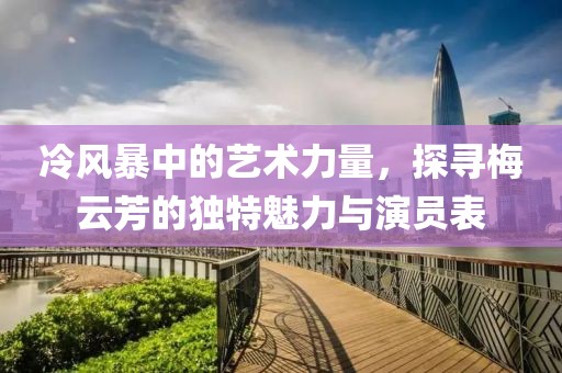 冷风暴中的艺术力量，探寻梅云芳的独特魅力与演员表