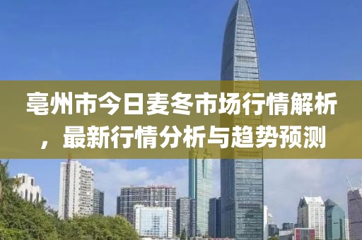 亳州市今日麦冬市场行情解析，最新行情分析与趋势预测