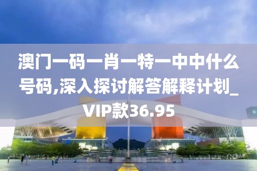 澳门一码一肖一特一中中什么号码,深入探讨解答解释计划_VIP款36.95