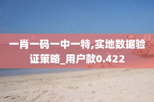 一肖一码一中一特,实地数据验证策略_用户款0.422