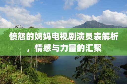 愤怒的妈妈电视剧演员表解析，情感与力量的汇聚