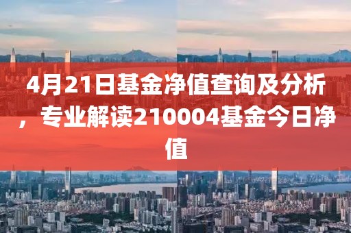 4月21日基金净值查询及分析，专业解读210004基金今日净值