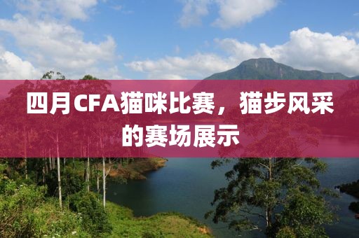 四月CFA猫咪比赛，猫步风采的赛场展示