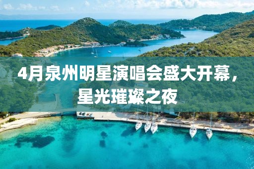 4月泉州明星演唱会盛大开幕，星光璀璨之夜