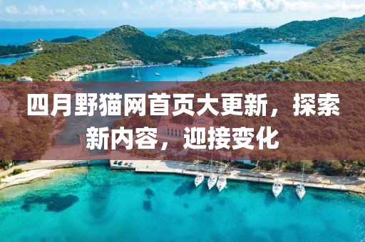 四月野猫网首页大更新，探索新内容，迎接变化