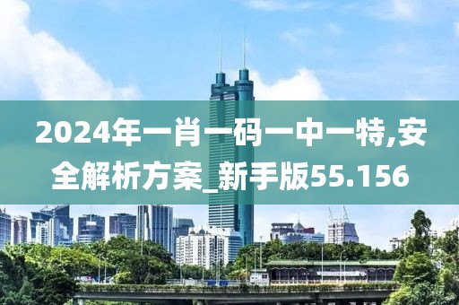 2024年一肖一码一中一特,安全解析方案_新手版55.156