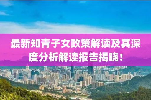 最新知青子女政策解读及其深度分析解读报告揭晓！