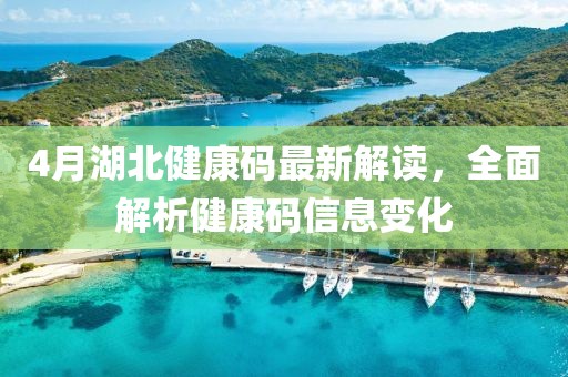4月湖北健康码最新解读，全面解析健康码信息变化
