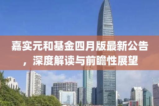 嘉实元和基金四月版最新公告，深度解读与前瞻性展望