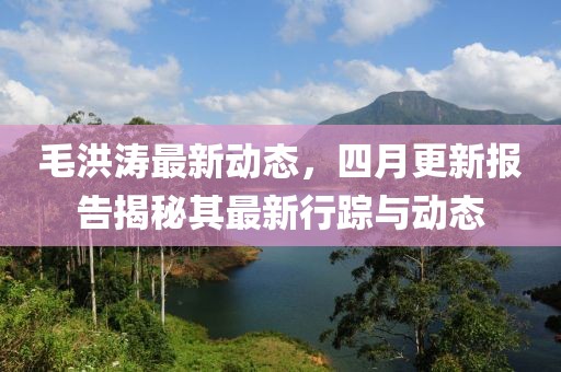 毛洪涛最新动态，四月更新报告揭秘其最新行踪与动态