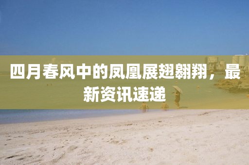 四月春风中的凤凰展翅翱翔，最新资讯速递