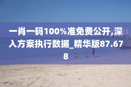 一肖一码100%准免费公开,深入方案执行数据_精华版87.678