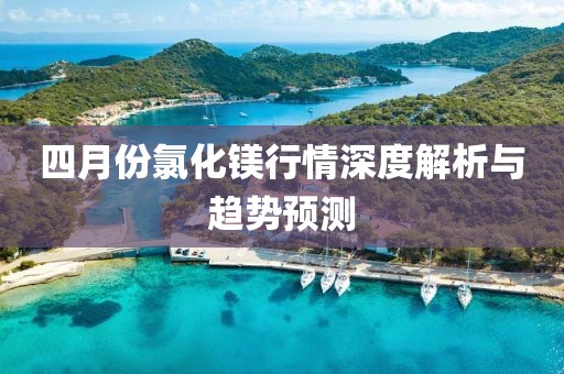 四月份氯化镁行情深度解析与趋势预测