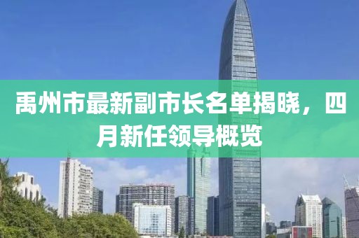 禹州市最新副市长名单揭晓，四月新任领导概览
