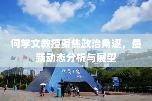 何学文教授聚焦政治角逐，最新动态分析与展望