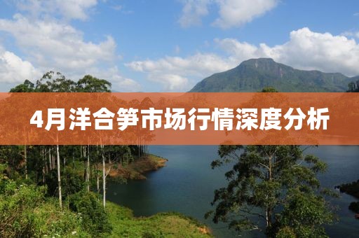 4月洋合笋市场行情深度分析