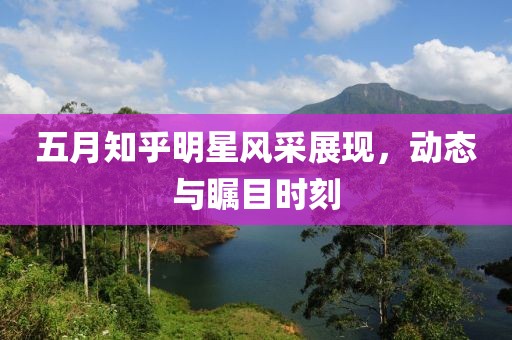 五月知乎明星风采展现，动态与瞩目时刻