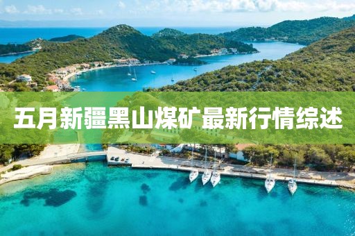 五月新疆黑山煤矿最新行情综述