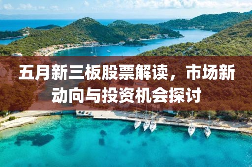 五月新三板股票解读，市场新动向与投资机会探讨
