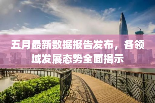 五月最新数据报告发布，各领域发展态势全面揭示